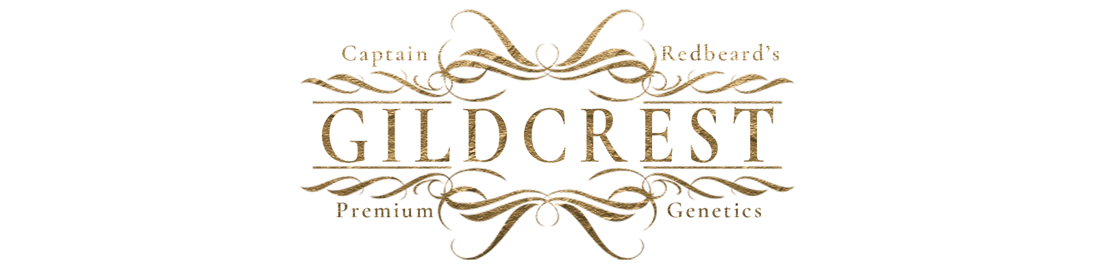 Gildcrest logo concept 3